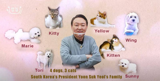 World Dog Alliance: A New Government, a New Atmosphere, and a Ban on the Consumption of Dog Meat on the Horizon in South Korea