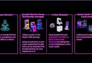 Roles in AKIVERSE