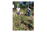 Volunteers from The Way to Happiness Foundation and the Church of Scientology of Rome carted out litter, debris and weeds from a stretch of road. 