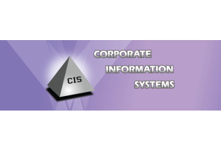 Corporate Information Systems